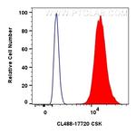 CSK Antibody in Flow Cytometry (Flow)