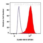 EIF2B1 Antibody in Flow Cytometry (Flow)