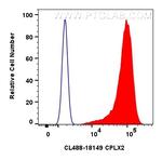 CPLX2 Antibody in Flow Cytometry (Flow)