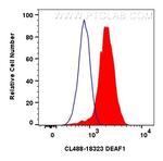 DEAF1 Antibody in Flow Cytometry (Flow)