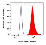 RBM16 Antibody in Flow Cytometry (Flow)