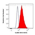 NOX2 Antibody in Flow Cytometry (Flow)