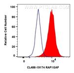 RAP1GAP Antibody in Flow Cytometry (Flow)
