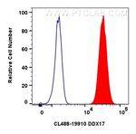 DDX17 Antibody in Flow Cytometry (Flow)