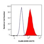 ASCT2 Antibody in Flow Cytometry (Flow)