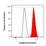 RUNX2 Antibody in Flow Cytometry (Flow)