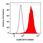 GSDMD Antibody in Flow Cytometry (Flow)
