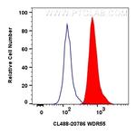 WDR55 Antibody in Flow Cytometry (Flow)