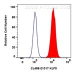 KLF5 Antibody in Flow Cytometry (Flow)
