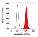 DDRGK1 Antibody in Flow Cytometry (Flow)
