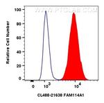 FAM114A1 Antibody in Flow Cytometry (Flow)