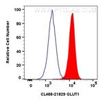 GLUT1 Antibody in Flow Cytometry (Flow)