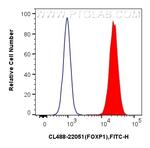 FOXP1 Antibody in Flow Cytometry (Flow)