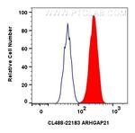 ARHGAP21 Antibody in Flow Cytometry (Flow)