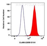 EYA1 Antibody in Flow Cytometry (Flow)