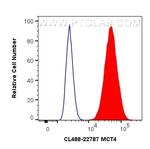 MCT4 Antibody in Flow Cytometry (Flow)