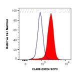 SCP3 Antibody in Flow Cytometry (Flow)