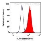 WWTR1 Antibody in Flow Cytometry (Flow)
