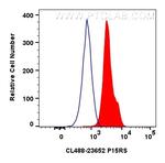 P15RS Antibody in Flow Cytometry (Flow)