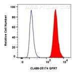 QPRT Antibody in Flow Cytometry (Flow)