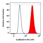 P27/KIP1 Antibody in Flow Cytometry (Flow)