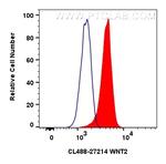 WNT2 Antibody in Flow Cytometry (Flow)