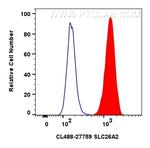 SLC26A2 Antibody in Flow Cytometry (Flow)