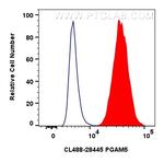 PGAM5 Antibody in Flow Cytometry (Flow)