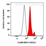 CDC2L1 Antibody in Flow Cytometry (Flow)