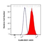 nNOS Antibody in Flow Cytometry (Flow)