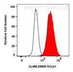 DCLK1 Antibody in Flow Cytometry (Flow)