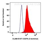EGFR Antibody in Flow Cytometry (Flow)