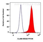PFKM Antibody in Flow Cytometry (Flow)