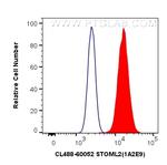STOML2 Antibody in Flow Cytometry (Flow)