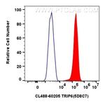 TRIP6 Antibody in Flow Cytometry (Flow)