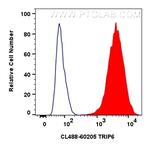 TRIP6 Antibody in Flow Cytometry (Flow)