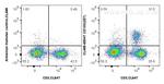 CD103 Antibody in Flow Cytometry (Flow)