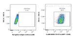 CD107a/LAMP1 Antibody in Flow Cytometry (Flow)