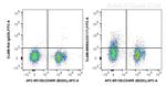 CD117/c-Kit Antibody in Flow Cytometry (Flow)