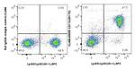 CD11b Antibody in Flow Cytometry (Flow)