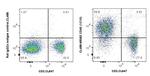 CD40 Antibody in Flow Cytometry (Flow)
