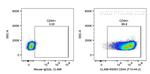 CD44 Antibody in Flow Cytometry (Flow)