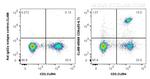CD8a Antibody in Flow Cytometry (Flow)