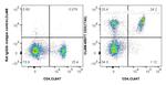 CD3 Antibody in Flow Cytometry (Flow)