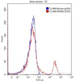 CD20 Antibody in Flow Cytometry (Flow)