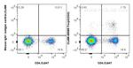 Foxp3 Antibody in Flow Cytometry (Flow)
