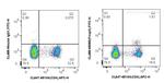 Foxp3 Antibody in Flow Cytometry (Flow)
