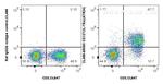 IL-7Ra/CD127 Antibody in Flow Cytometry (Flow)