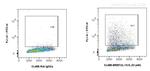 IL-12/IL-23 p40 Antibody in Flow Cytometry (Flow)