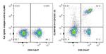 CD4 Antibody in Flow Cytometry (Flow)
